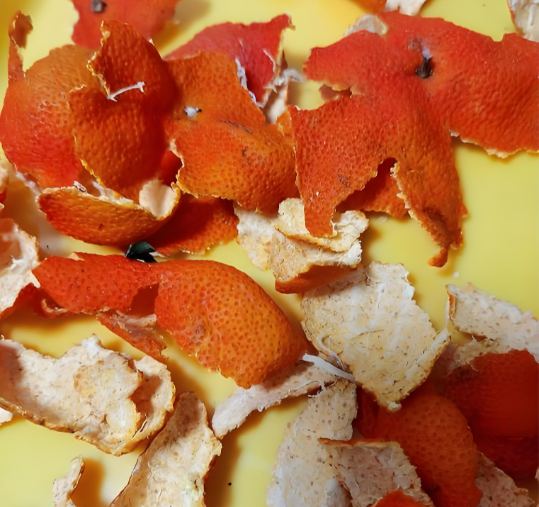 橘子皮活性炭除衣柜霉味